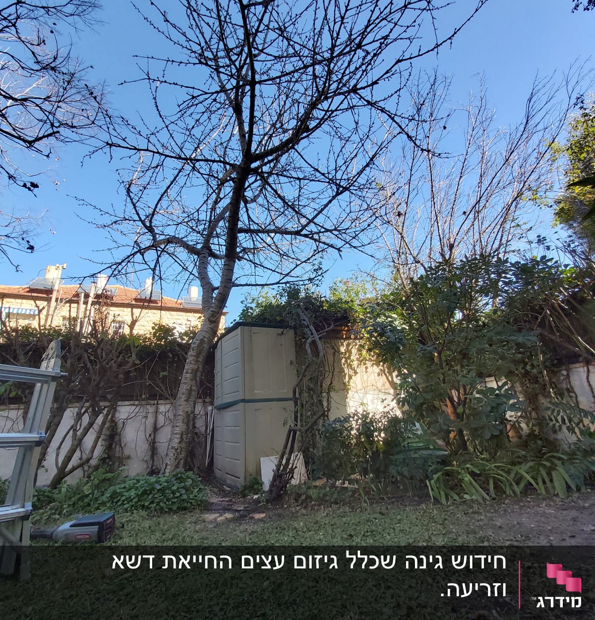 סולם, מחסן וכלי גינון על דשא בגינה